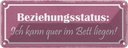 Blechschild 10x27 cm Beziehungsstatus quer im Bett Dekoration Spruch Zitat