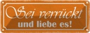 Blechschild 10x27 cm sei verrückt und liebe es Dekoration