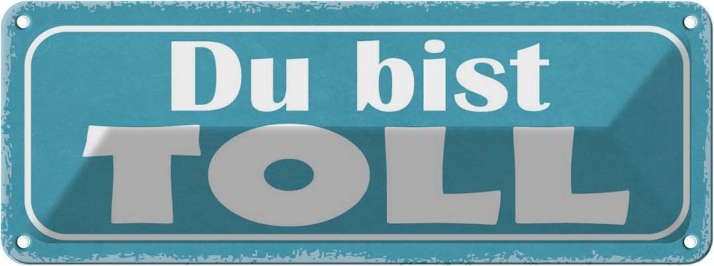 Blechschild 10x27 cm Du bist toll Dekoration Spruch Zitat