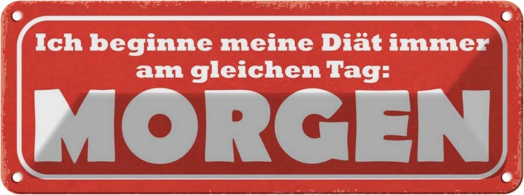 Blechschild 10x27 cm Diät immer gleicher Tag Morgen Dekoration Spruch Zitat