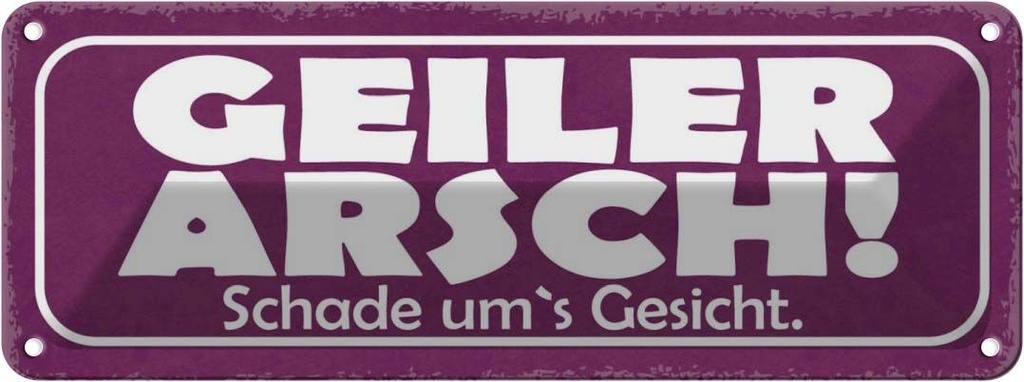 Blechschild 10x27 cm Geiler Arsch Schade um`s Gesicht Spruch Zitat
