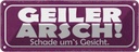 Blechschild 10x27 cm Geiler Arsch Schade um`s Gesicht Spruch Zitat