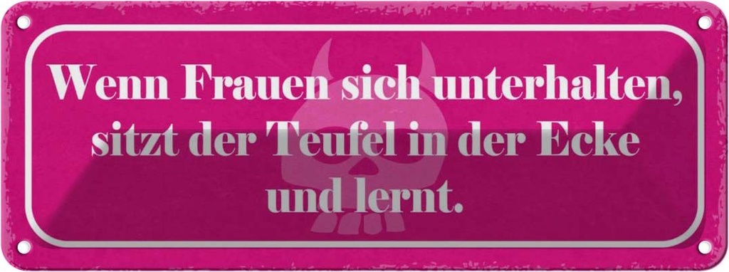 Blechschild 10x27 cm Frauen unterhalten Teufel lernt Spruch Zitat