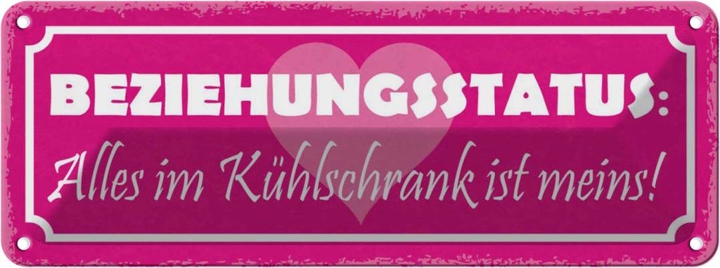 Blechschild 10x27 cm Beziehungsstatus Kühlschrank Geschenk Spruch Zitat