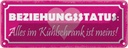 Blechschild 10x27 cm Beziehungsstatus Kühlschrank Geschenk Spruch Zitat