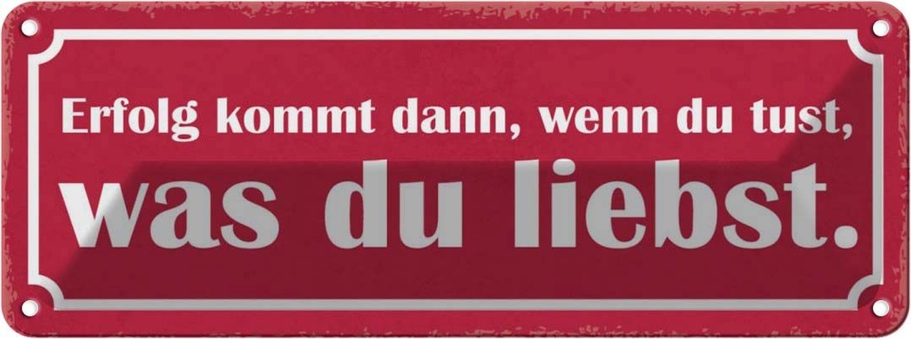 Blechschild 10x27 cm Erfolg du tust was liebst Dekoration Spruch Zitat