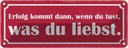 Blechschild 10x27 cm Erfolg du tust was liebst Dekoration Spruch Zitat