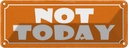 Blechschild 10x27 cm Not Today nicht heute Dekoration