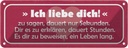 Blechschild 10x27 cm ich liebe dich zu sagen dauert Dekoration