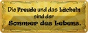 Blechschild 10x27 cm Freude Lächeln Sommer des Lebens Spruch Zitat