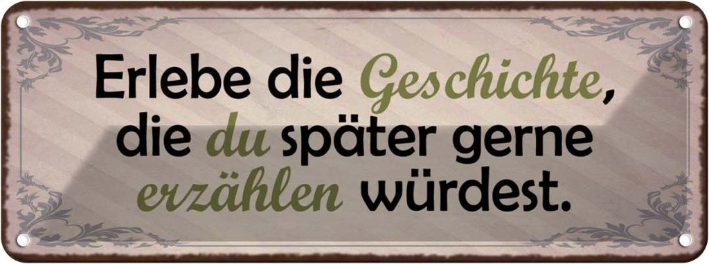 Blechschild 10x27 cm Erlebe Geschichte später erzähle Spruch Zitat
