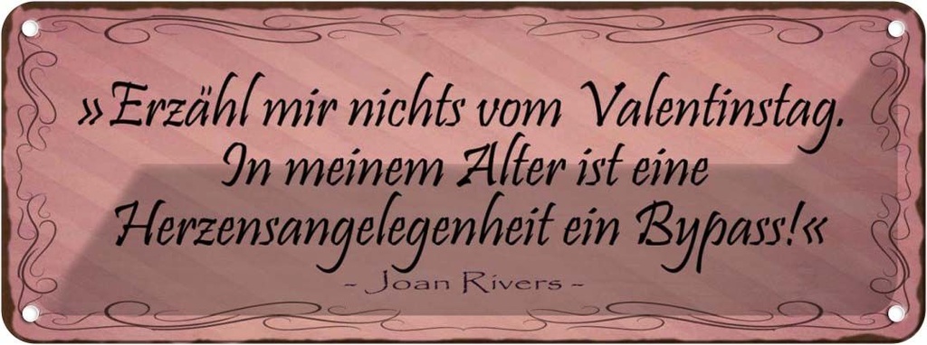 Blechschild 10x27 cm Erzähl nichts vom Valrntinstag Dekoration Spruch Zitat