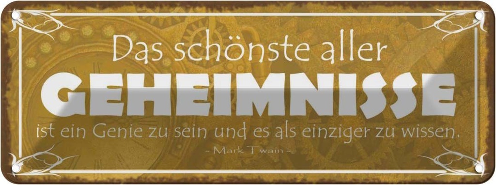 Blechschild 10x27 cm Genie sein und einzige wissen Dekoration Spruch Zitat