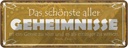 Blechschild 10x27 cm Genie sein und einzige wissen Dekoration Spruch Zitat