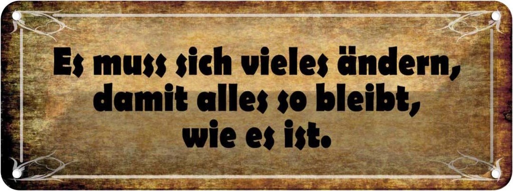 Blechschild 10x27 cm Es muss sich vieles ändern damit Spruch Zitat