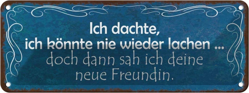 Blechschild 10x27 cm Freundin ich kann wieder lachen Spruch Zitat