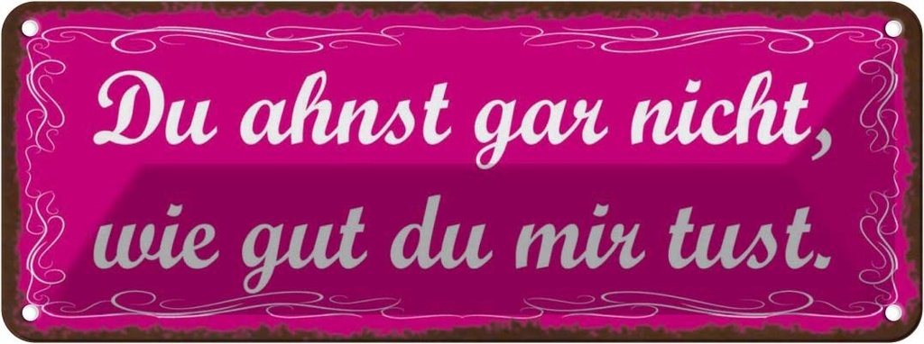 Blechschild 10x27 cm Ahnst nicht wie gut du mir tust Spruch Zitat