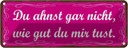 Blechschild 10x27 cm Ahnst nicht wie gut du mir tust Spruch Zitat