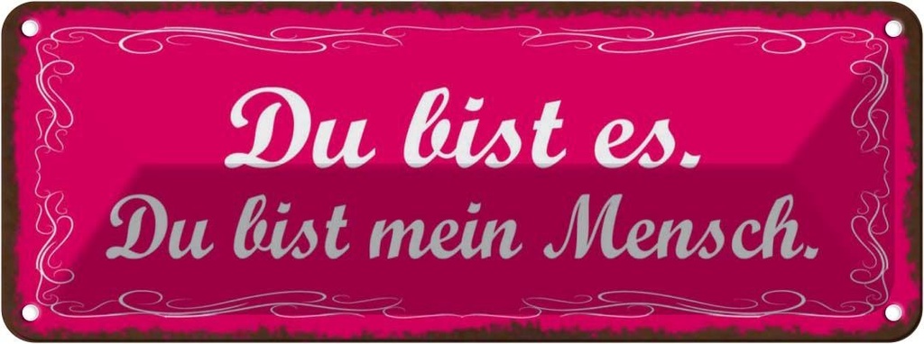 Blechschild 10x27 cm Du bist es mein Mensch Dekoration Spruch Zitat