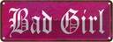 Blechschild 10x27 cm Bad Girl Männer Frauen