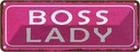 Blechschild 10x27 cm Boss Lady Männer Frauen