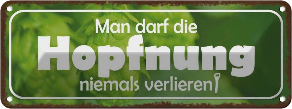 Blechschild 10x27 cm Darf Hopfnung niemals verlieren Spruch Zitat