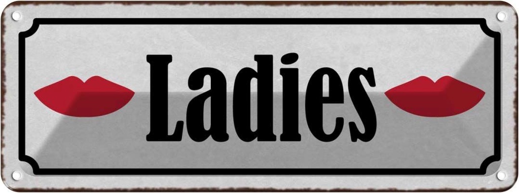 [LA-118351] Blechschild 10x27 cm Ladies Geschenk Familie Freunde