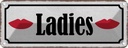 Blechschild 10x27 cm Ladies Geschenk Familie Freunde