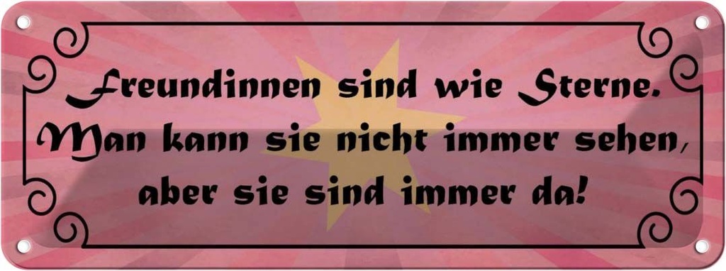 Blechschild 10x27 cm Freundinnen wie Sterne immer da Spruch Zitat