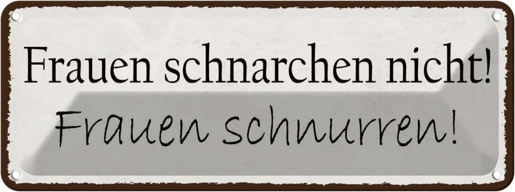 Blechschild 10x27 cm Frauen schnarchen nicht Männer Spruch Zitat