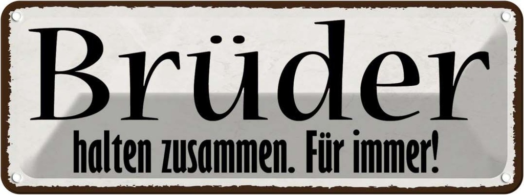 [LA-118539] Blechschild 10x27 cm Brüder halten zusammen immer Familie Freunde