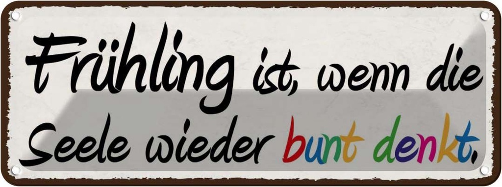 Blechschild 10x27 cm Frühling wenn Seele bunt denkt Dekoration Spruch Zitat