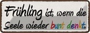 Blechschild 10x27 cm Frühling wenn Seele bunt denkt Dekoration Spruch Zitat