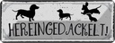 Blechschild 10x27 cm Hereingedackelt!