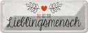 Blechschild 10x27 cm Du mein Lieblingsmensch Herz Spruch Zitat