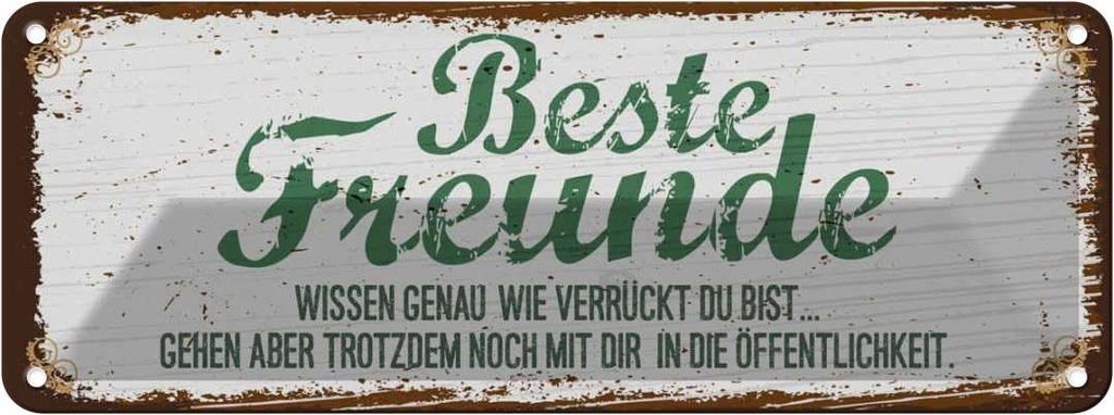 Blechschild 10x27 cm Beste Freunde verrückt wissen genau Spruch Zitat
