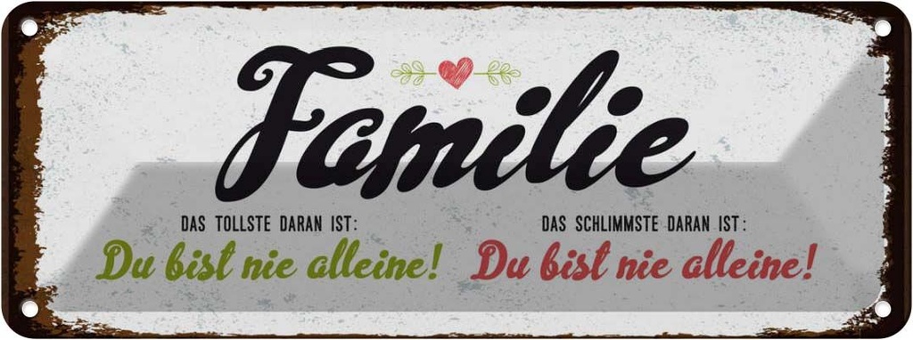Blechschild 10x27 cm Familie Du bist nie alleine Spruch Zitat