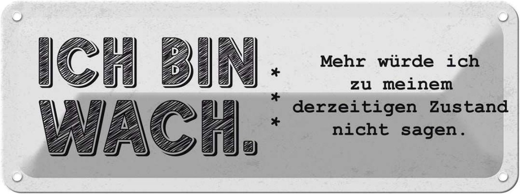 [LA-135758] Blechschild 10x27 cm lustig Zustand Ich bin wach Witz Humor Spaß