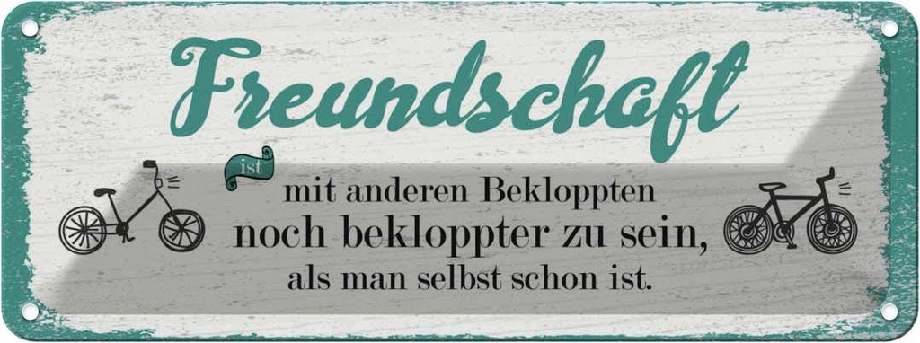 Blechschild 10x27 cm Freundschaft noch bekloppter sein Spruch Zitat
