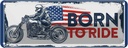 Blechschild 10x27 cm Biker Born to Ride USA Motorcycle