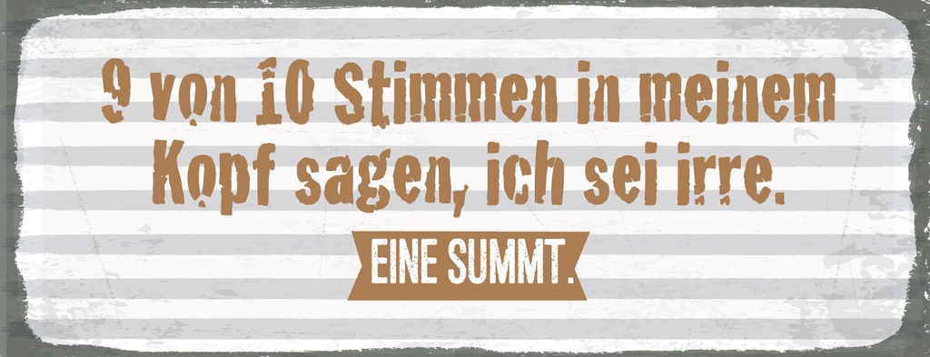 [LA-1810452] Blechschild 10x27 cm 9 von 10 Stimmen in meinem Kopf