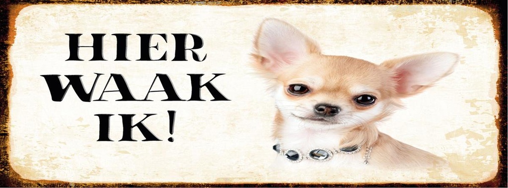 [LA-1810536] Blechschild 10x27 cm holländisch Hier Waak ik Chihuahua mit Kette