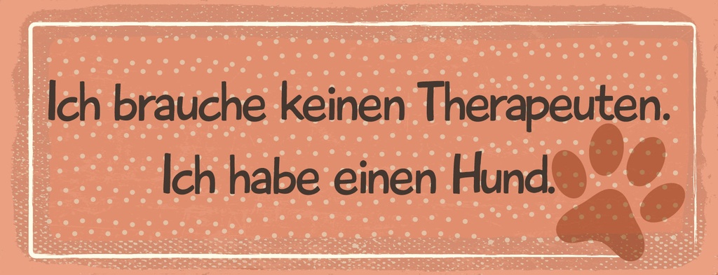 Blechschild 10x27 cm Brauche keinen Therapeuten