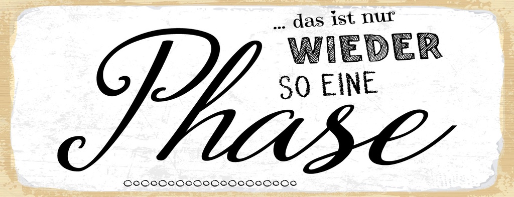 [LA-1811075] Blechschild 10x27 cm nur wieder so eine Phase