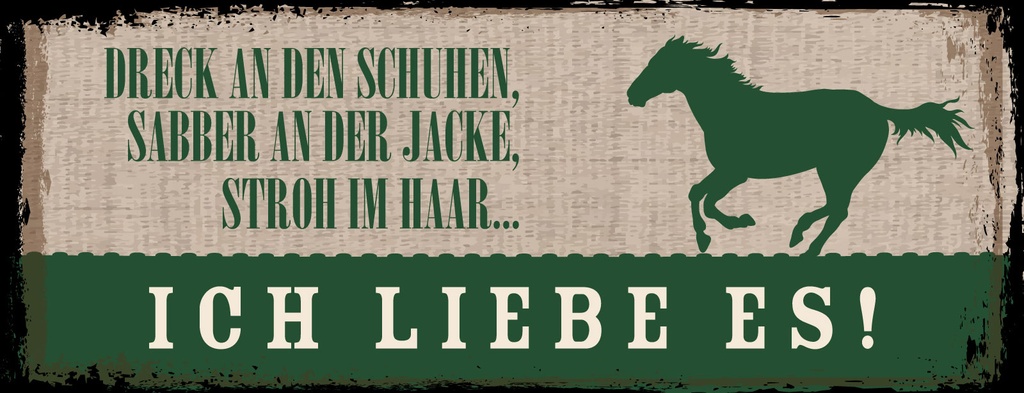 [LA-1811201] Blechschild 10x27 cm Stroh im Haar Ich liebe es Pferd