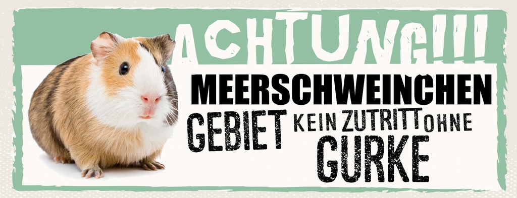 [LA-1811264] Blechschild 10x27 cm Achtung Meerschweinchen Kein Zutritt ohne Gurke