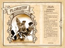 Holzschild 30x40 cm Floristin blumige Stylistin exakt Beruf Arbeit
