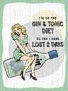 Holzschild 40x30 cm Pinup I´m on the Gin & Tonic Diet Pin Up