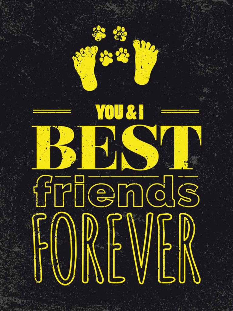 Holzschild 40x30 cm Freunde You I best friends forever Spruch Zitat