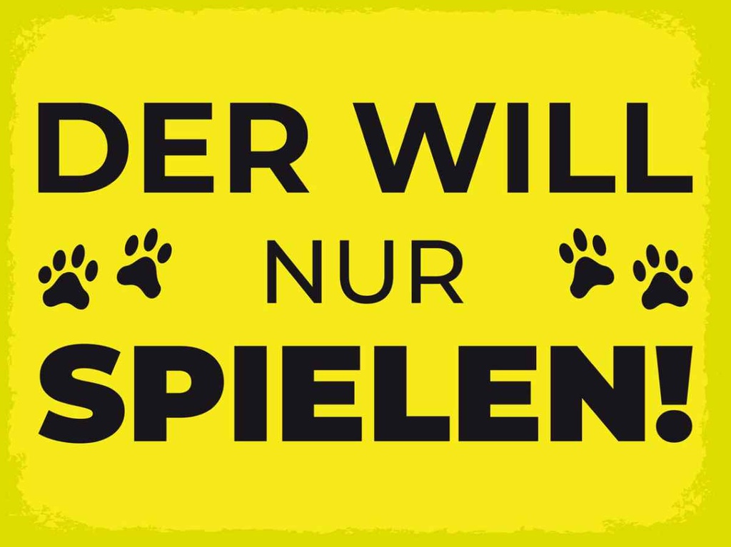 Holzschild 30x40 cm Hund will nur spielen Tier Haustier